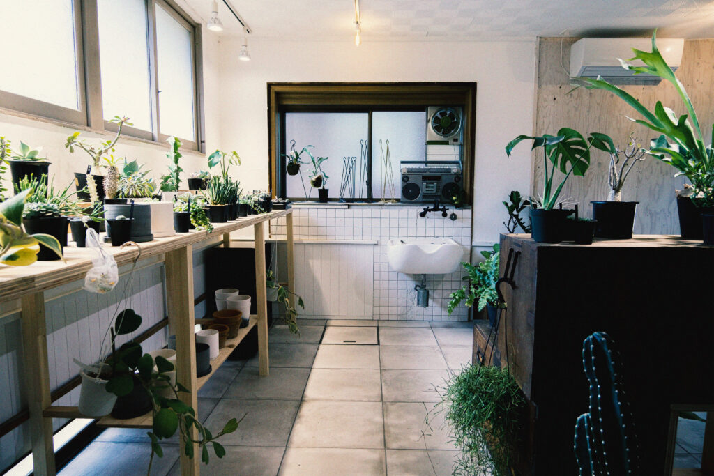 RENOVATION